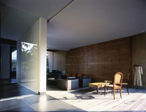 Alpes House, Mexico City / by Not Only Architects