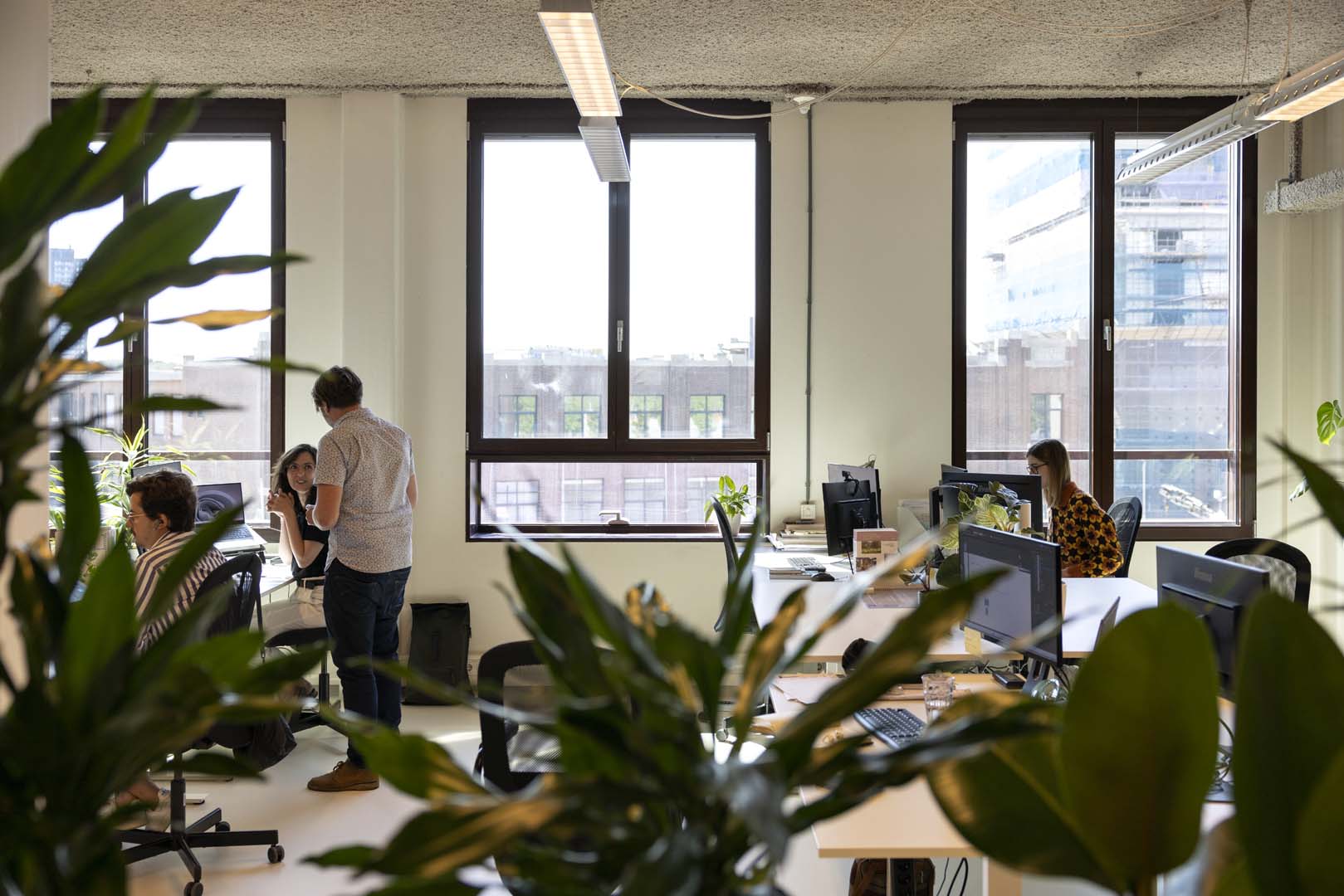 Felixx Eco-Friendly Office
