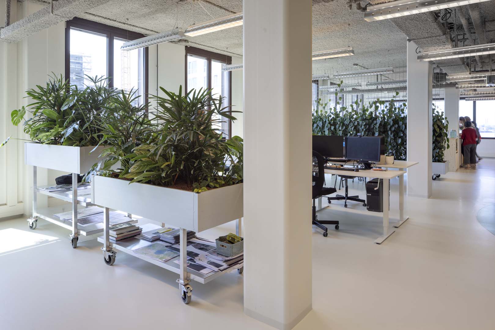 Felixx Eco-Friendly Office