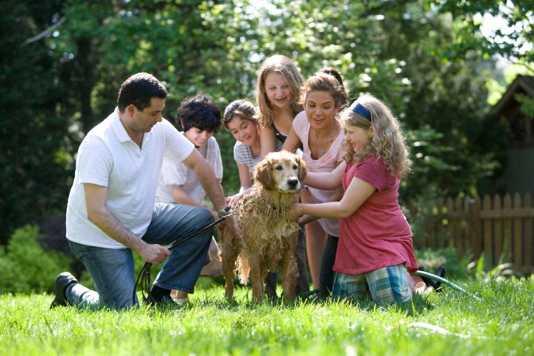 Blended family petting a dog in the yard after combining two households