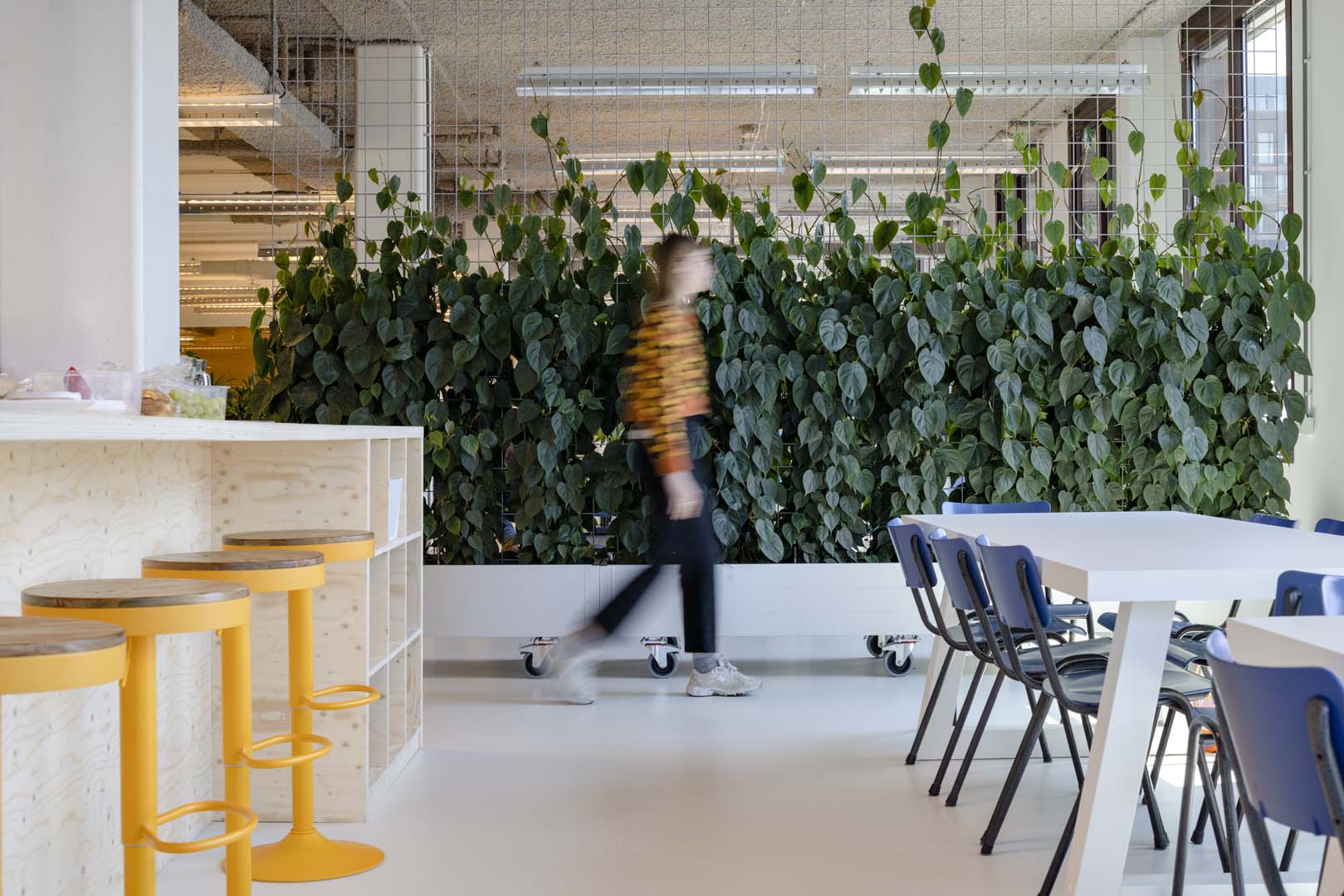 Felixx Eco-Friendly Office