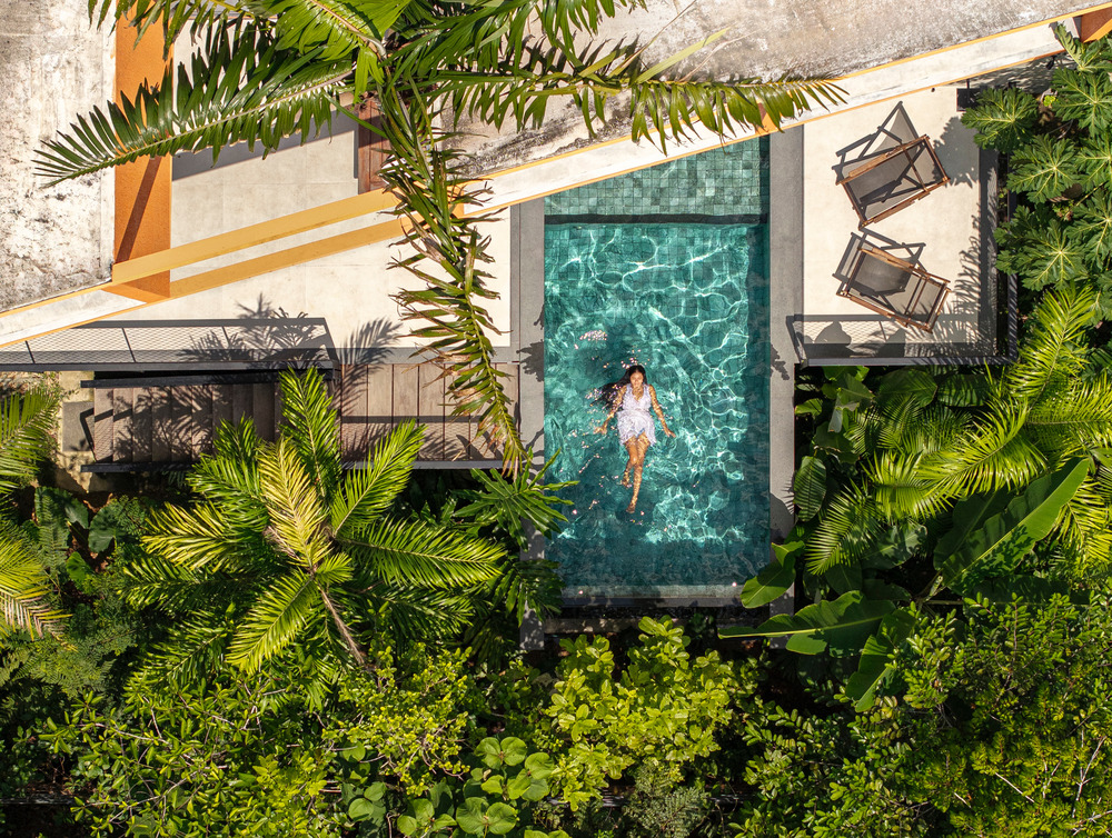 Pupunha House: A Garden-First Home in Manaus