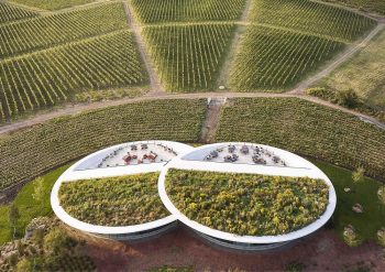 Sauska Tokaj by BORD Architectural Studio_AMP 2025 Best of Best Winner in Agricultural Buildings