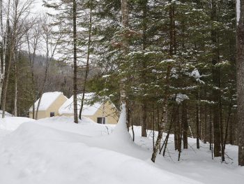 La Maraude: Forest Living in Quebec