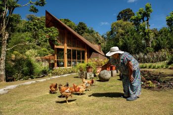El Arca: Timber Pavilion in Panama Highlands