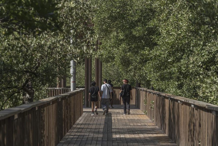 Cienaga de Mallorquin Ecopark in Barranquilla