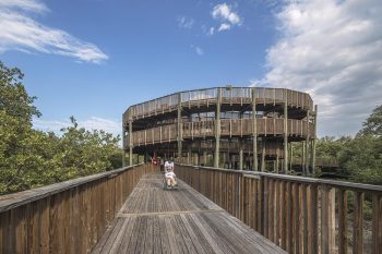 Cienaga de Mallorquin Ecopark in Barranquilla