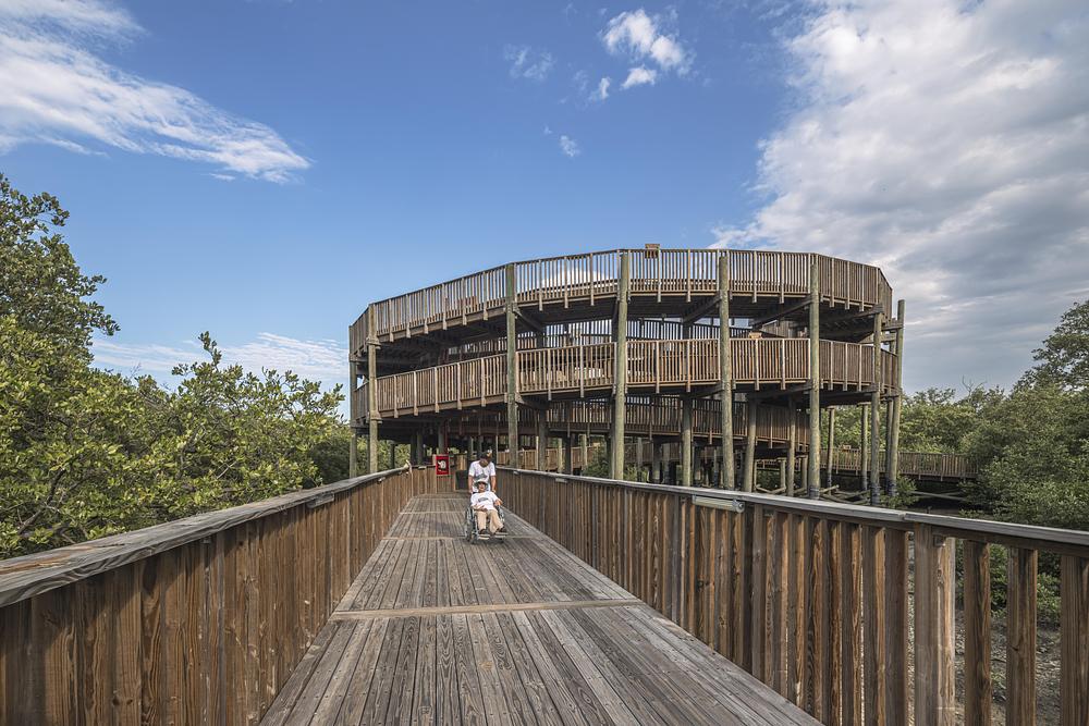 Cienaga de Mallorquin Ecopark in Barranquilla