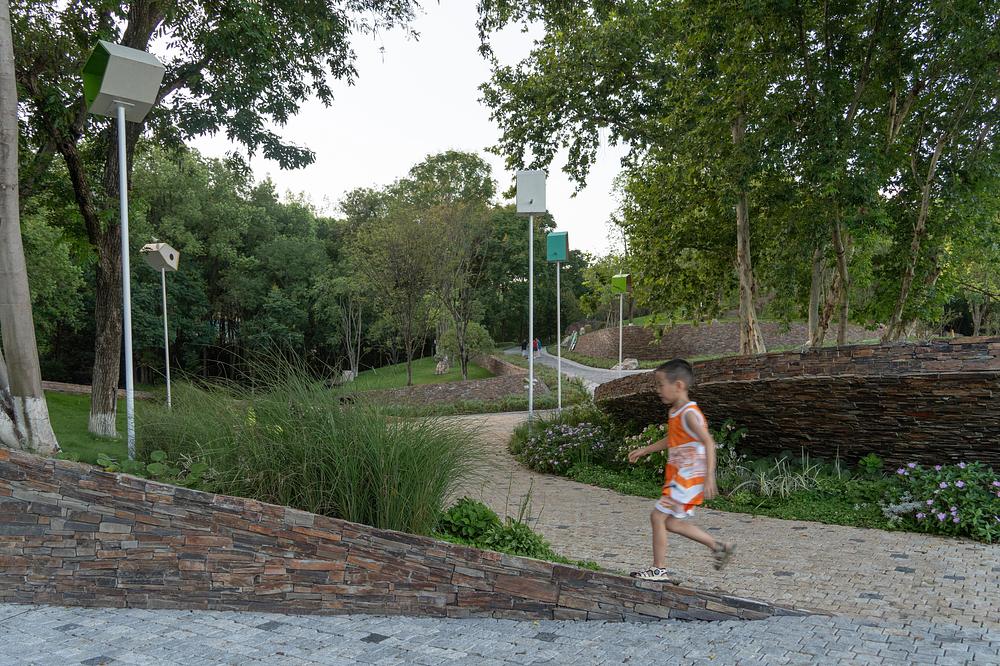 Xiaoxita Forest Park Revives Yichang's Urban Forest