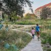 Copenhagen’s Climate Park Turns Rain Into Urban Life
