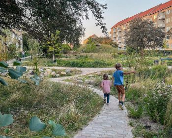 Copenhagen’s Climate Park Turns Rain Into Urban Life