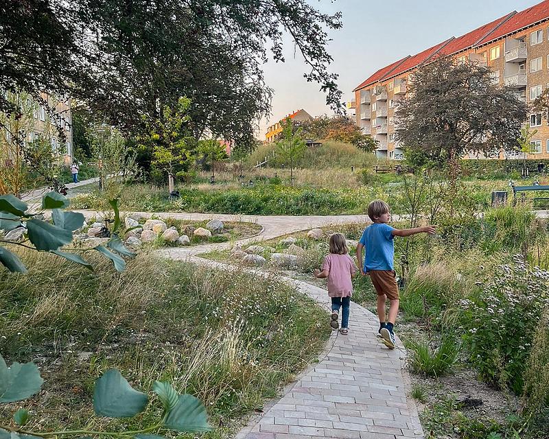 Copenhagen’s Climate Park Turns Rain Into Urban Life