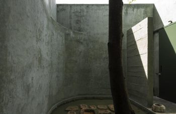 Casa Gruta: A Home Inspired by Yucatan Cenotes