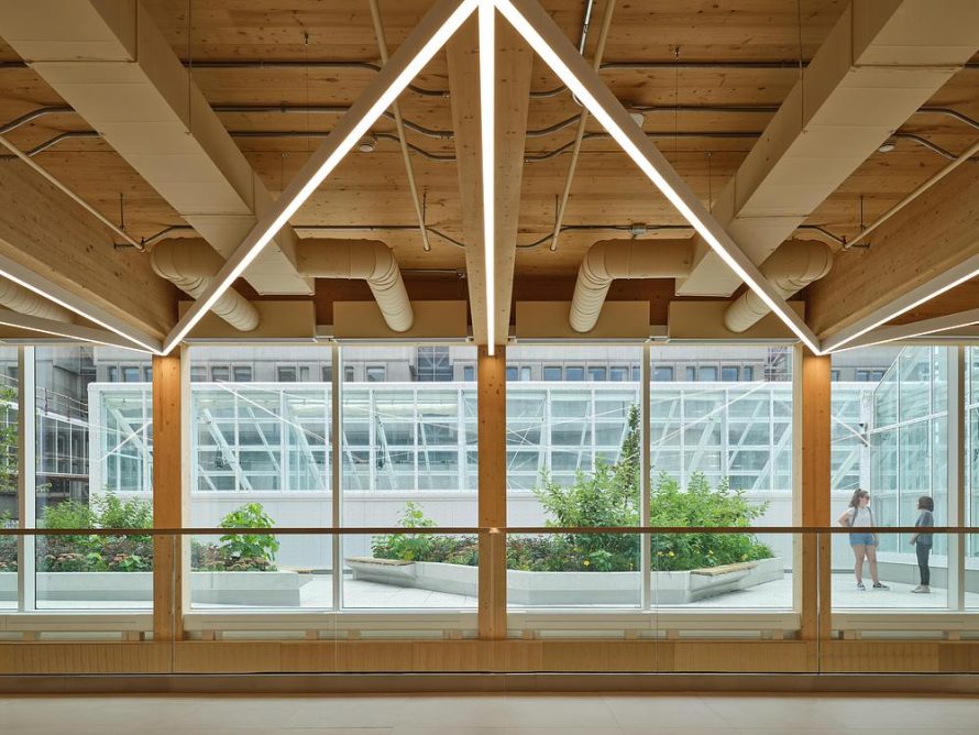 McMaster Greenhouse Puts Plant Science on Display