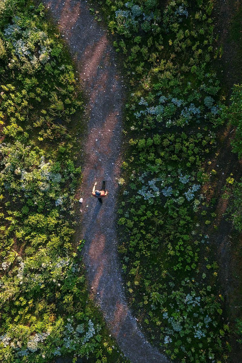 Five Gardens Explore Mapping Sensitivity in Quebec