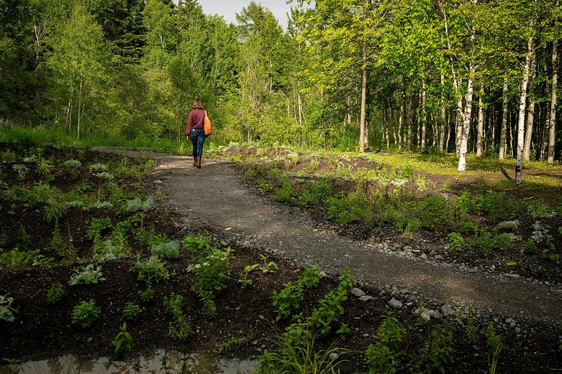 Five Gardens Explore Mapping Sensitivity in Quebec