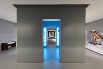 Berkshire Museum Redesign Unites Art and Nature