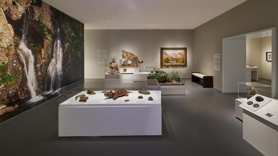 Berkshire Museum Redesign Unites Art and Nature
