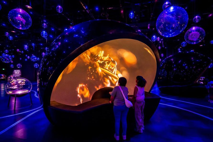 Exploria by GSM Studios Reveals Nature's Hidden Worlds