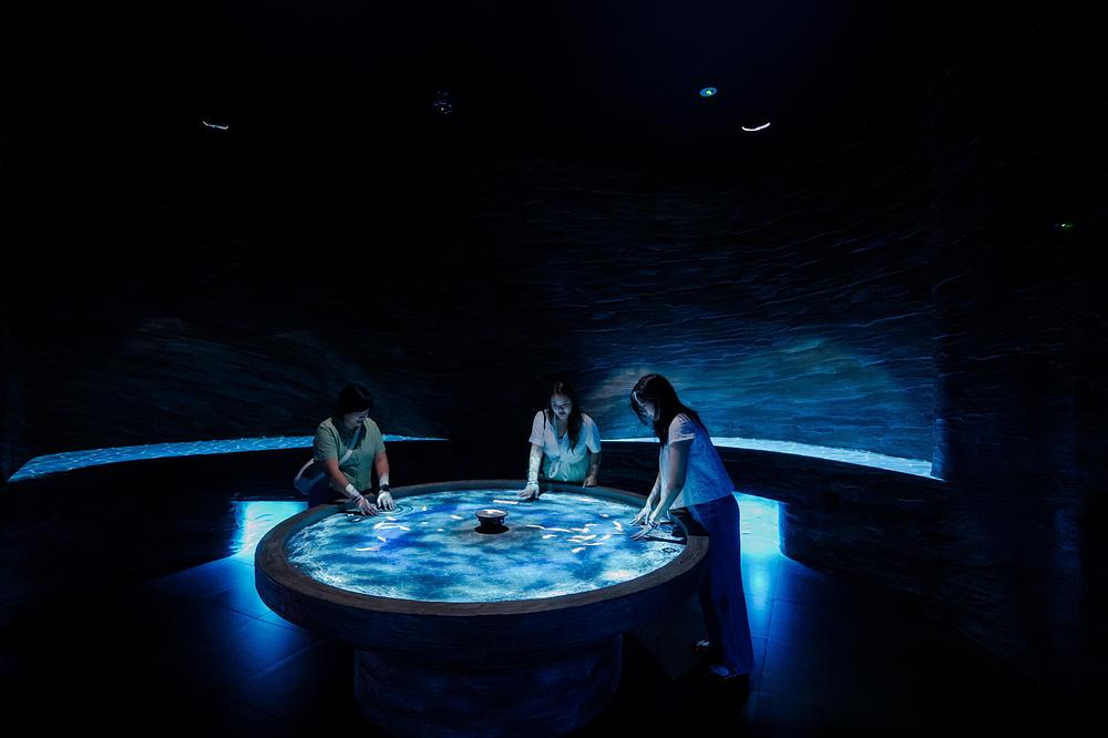 Exploria by GSM Studios Reveals Nature's Hidden Worlds